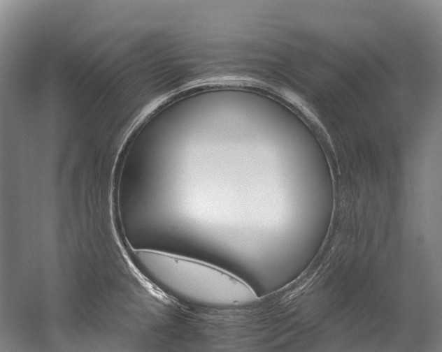 X0000060231237200510280929