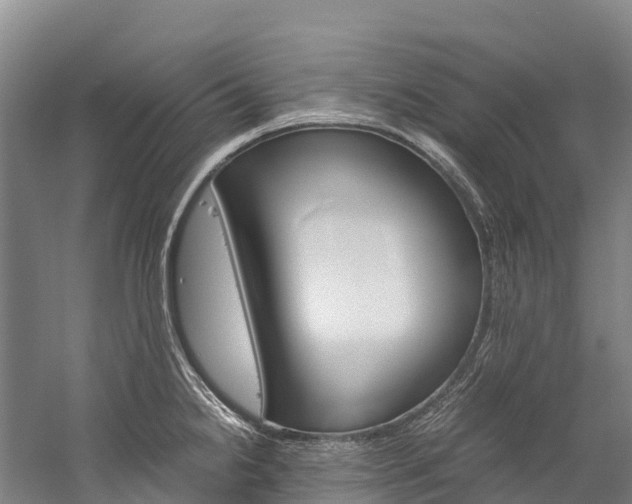X0000060231238200510280929