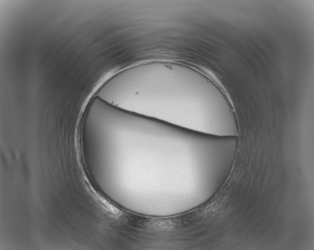 X0000060231243200510280929