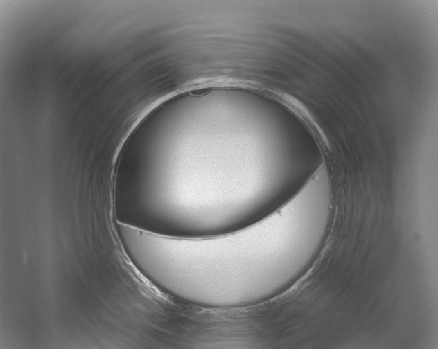 X0000060231244200510280929