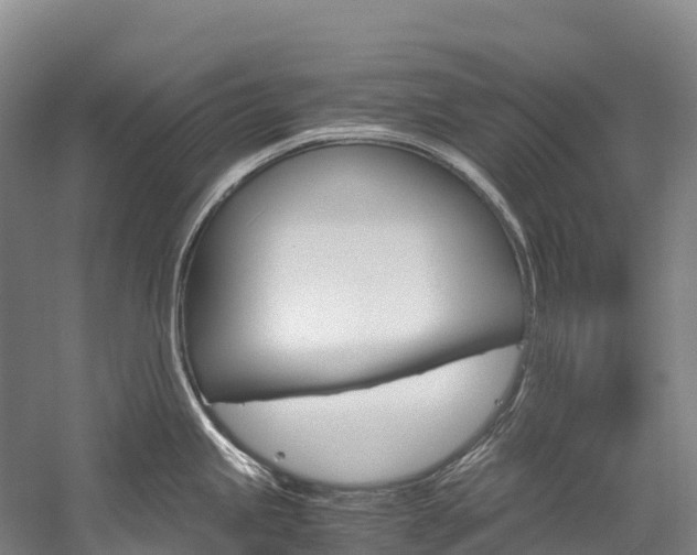 X0000060231245200510280929