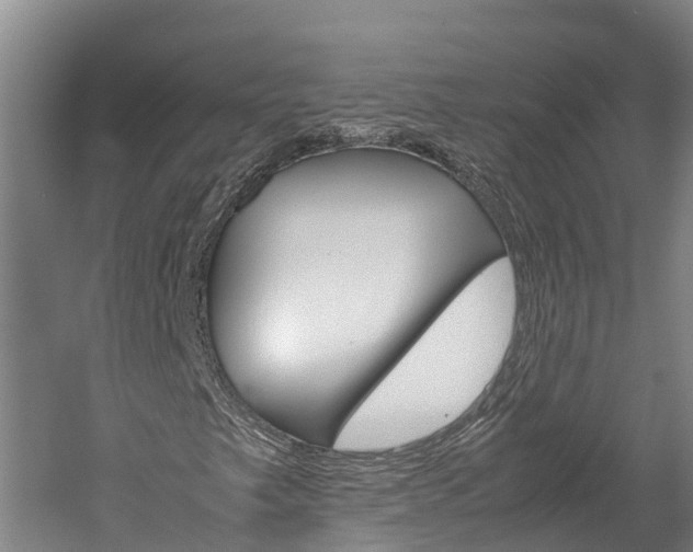 X0000060231249200510280929
