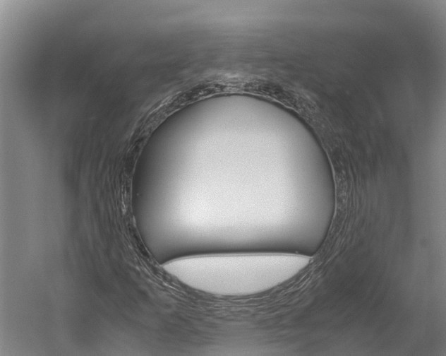 X0000060231253200510280929
