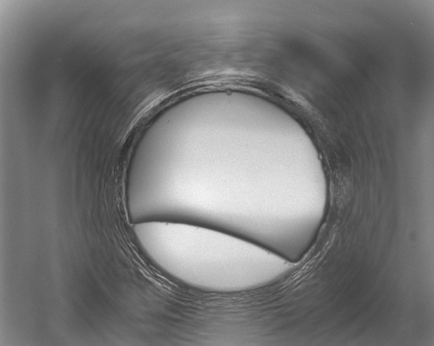 X0000060231259200510280928