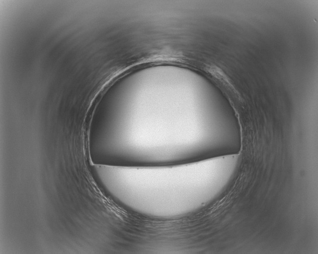 X0000060231268200510280928