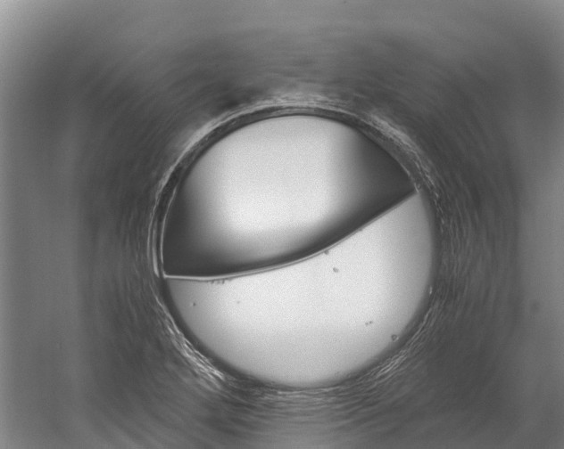 X0000060231272200510280928