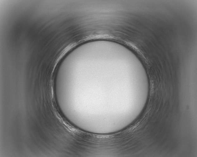 X0000060231274200510280928
