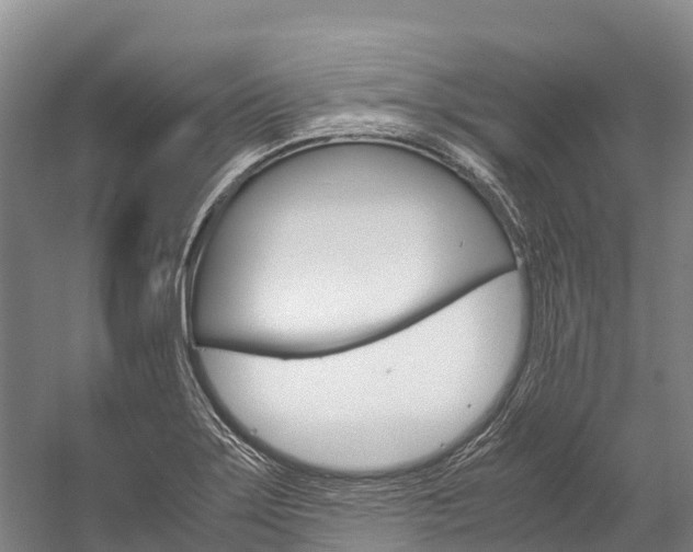 X0000060231275200510280928
