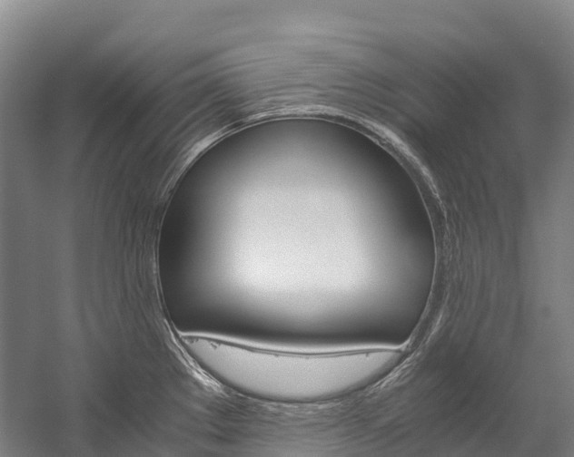 X0000060231289200510280928
