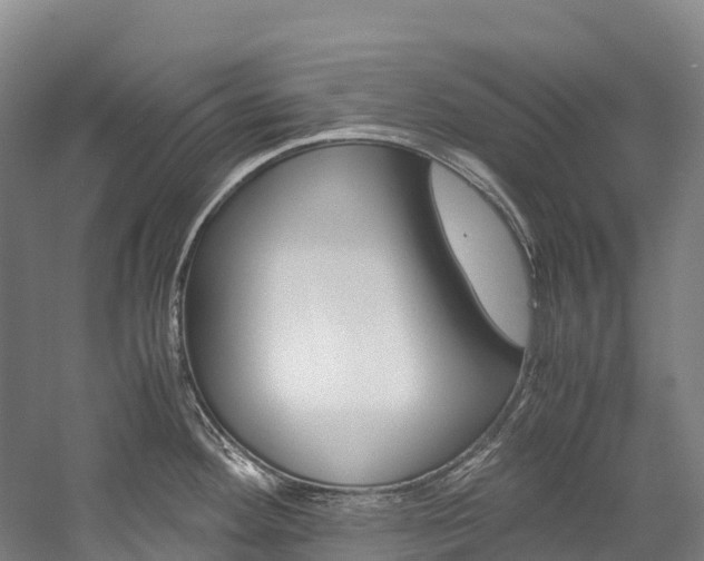 X0000060231292200510280928