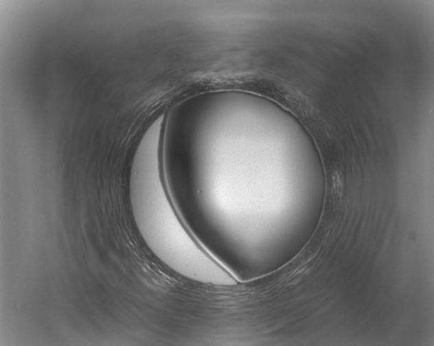 X0000060231300200510280927