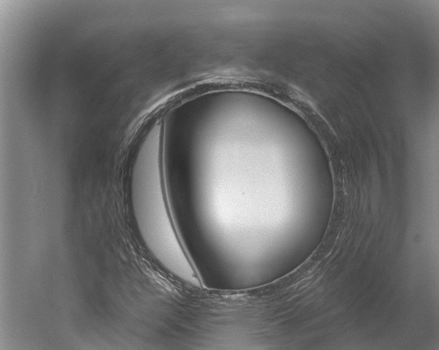 X0000060231304200510280927