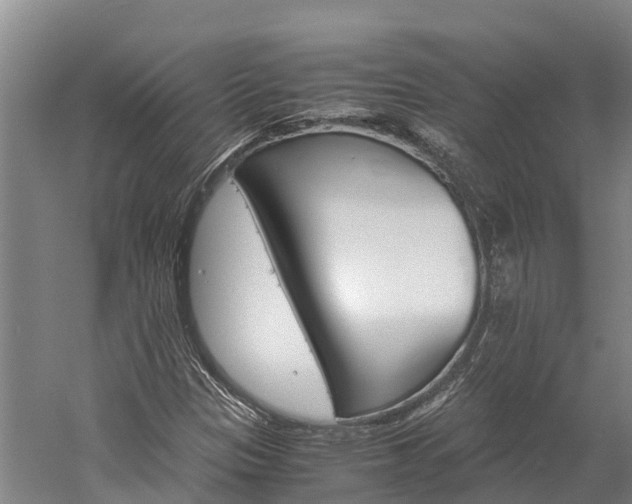 X0000060231305200510280927