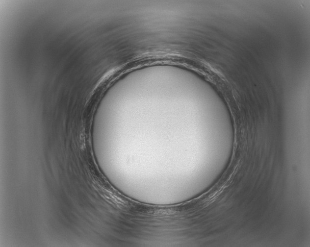 X0000060231306200510280927