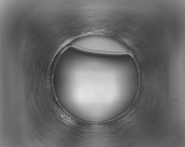X0000060231308200510280927