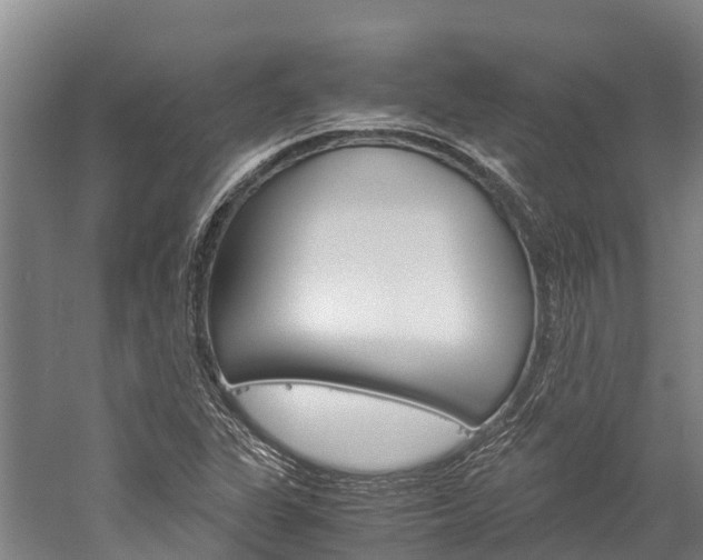 X0000060231311200510280927