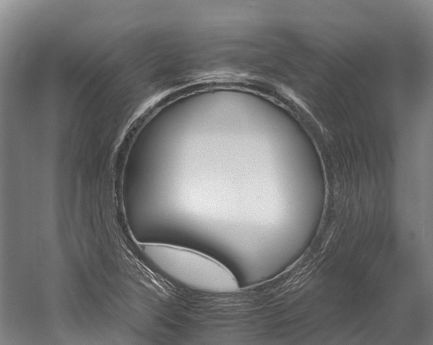 X0000060231315200510280927