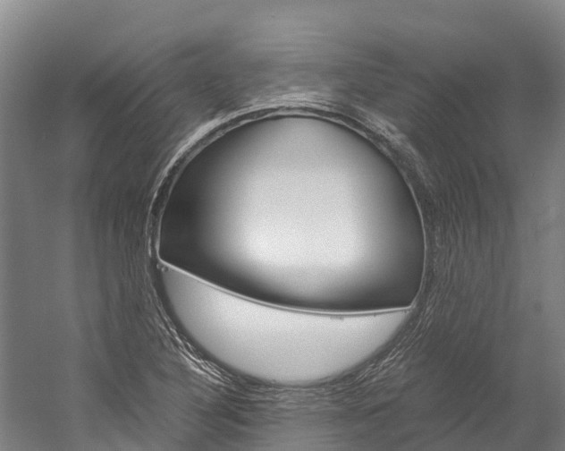 X0000060231316200510280927