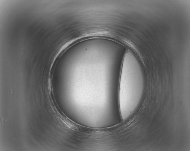 X0000060231324200510280927