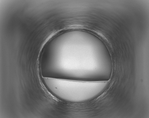 X0000060231325200510280927