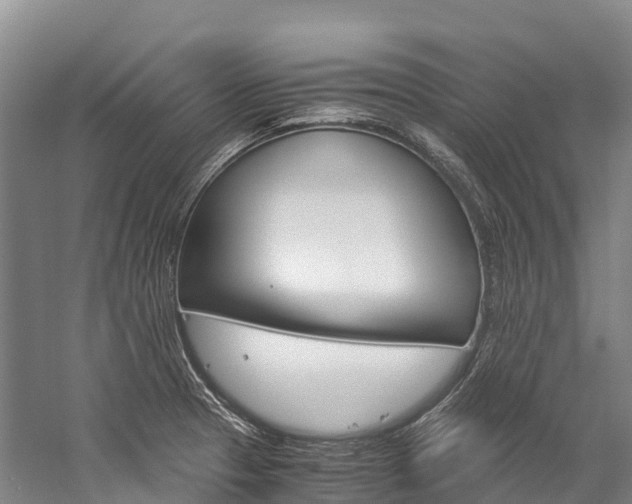 X0000060231329200510280928