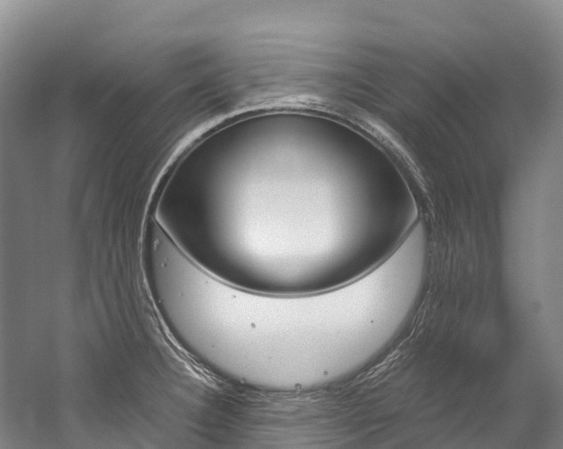 X0000060231332200510280928