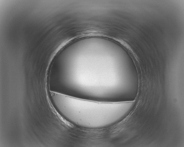 X0000060231333200510280928