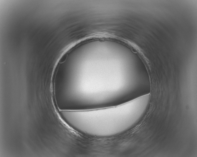 X0000060231335200510280928