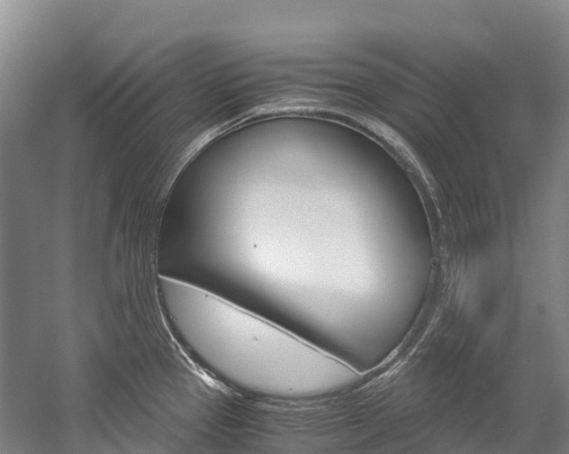 X0000060231337200510280928