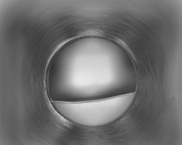 X0000060231339200510280928