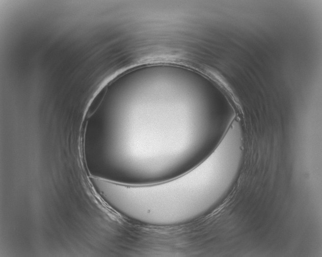 X0000060231340200510280928