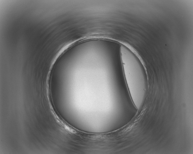 X0000060231341200510280928