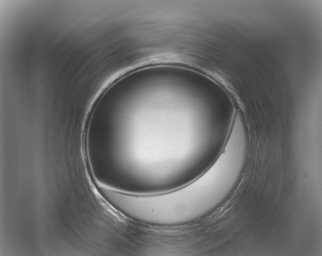 X0000060231342200510280928