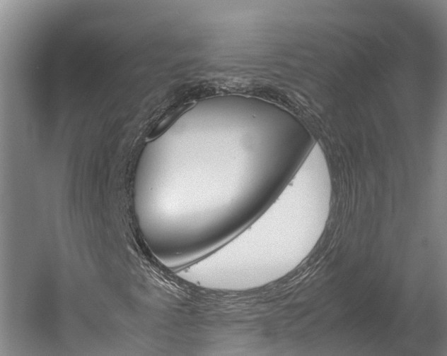 X0000060231345200510280927