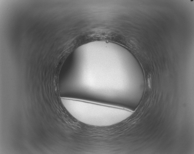 X0000060231347200510280927