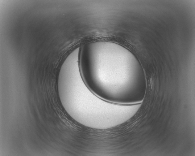 X0000060231348200510280927