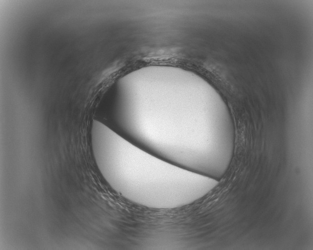 X0000060231350200510280927