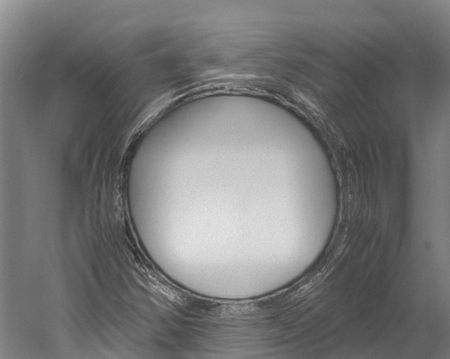 X0000060231354200510280927