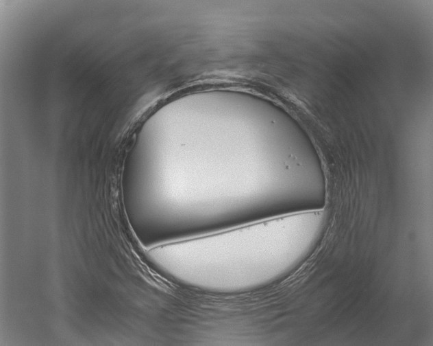 X0000060231355200510280927