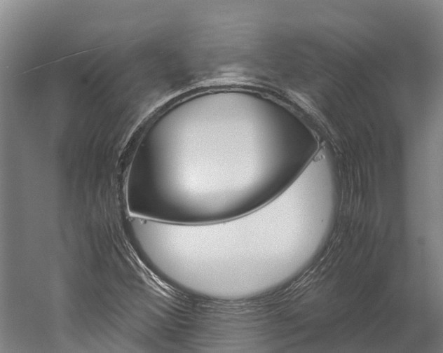 X0000060231356200510280927