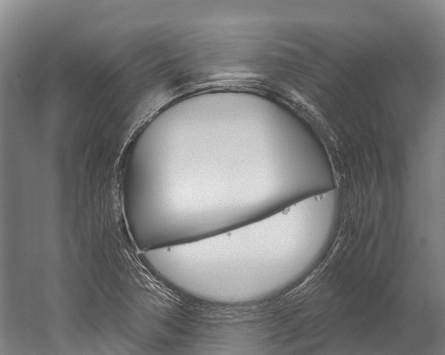 X0000060231362200510280927