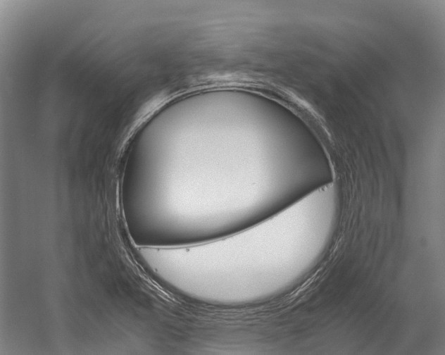 X0000060231365200510280927