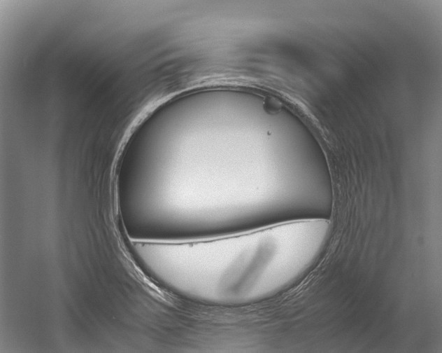 X0000060231371200510280927