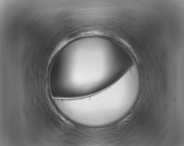 X0000060231373200510280926