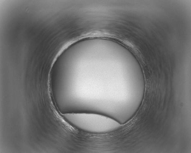 X0000060231374200510280926