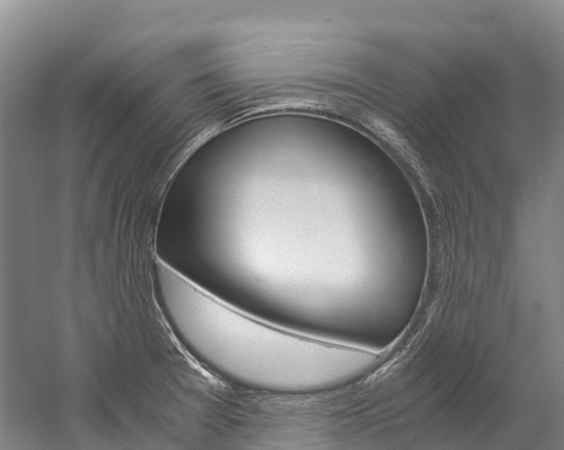 X0000060231377200510280926