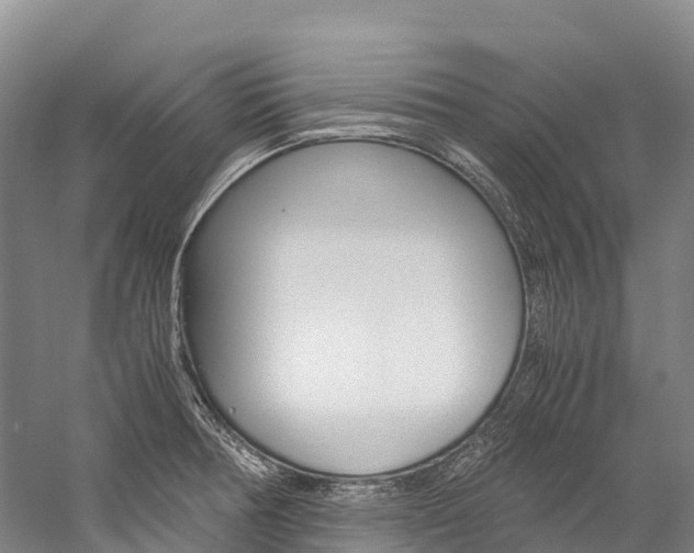 X0000060231378200510280926