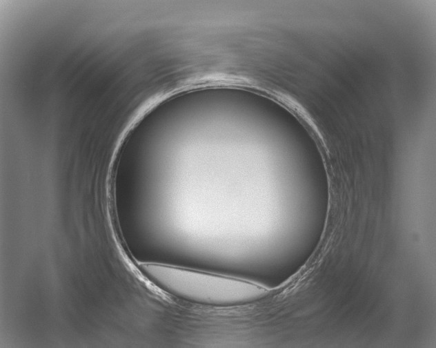 X0000060231381200510280926