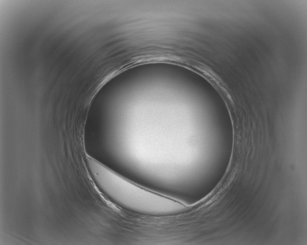 X0000060231385200510280926