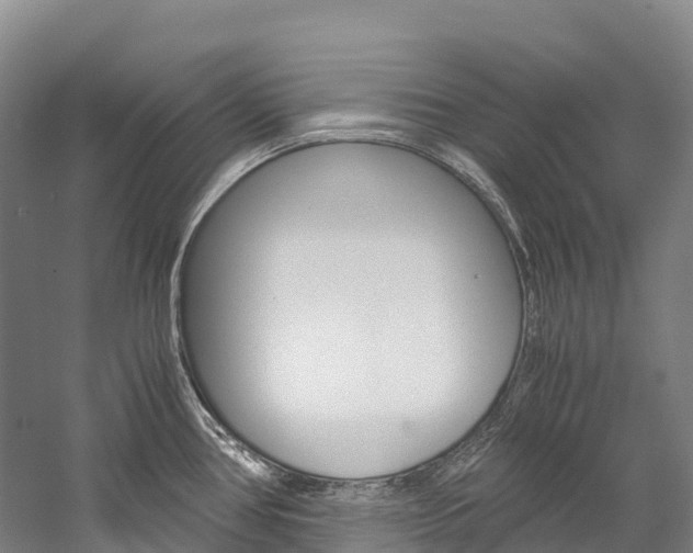 X0000060231386200510280926